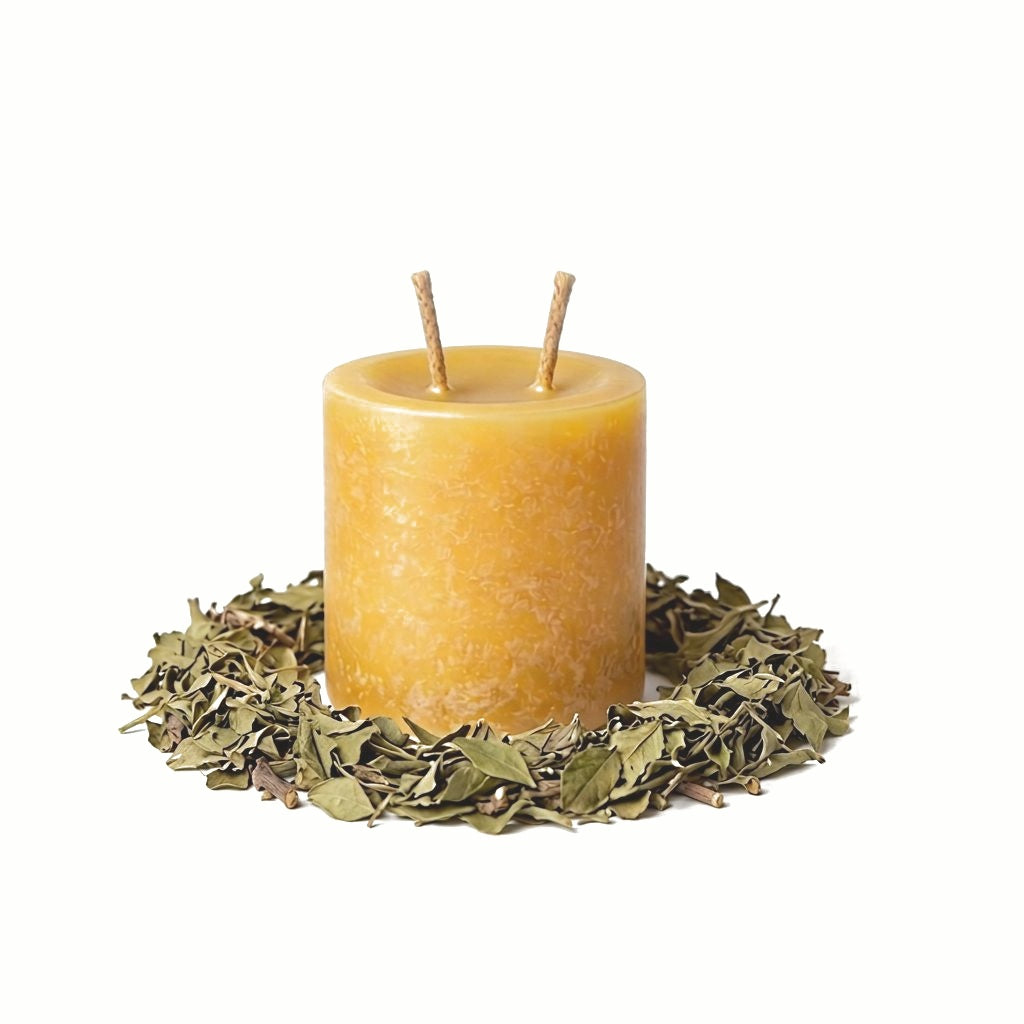 Damiana — Pillar 3×3