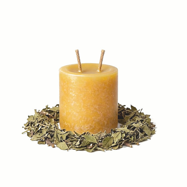 Damiana — Pillar 3×3