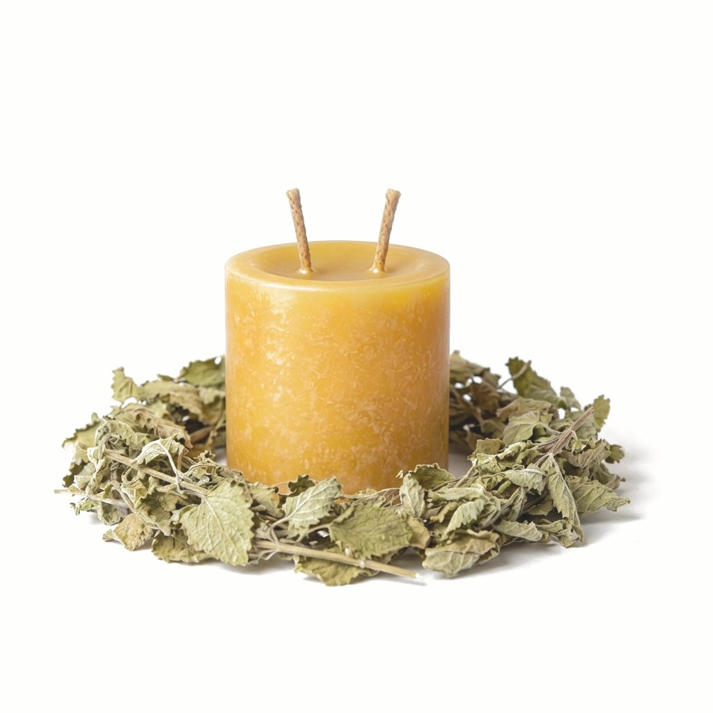 Lemon Balm — Pillar 3×3